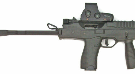 Personal Defense Weapons and their Ammunition