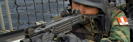 Peruvian Small Arms: Gunning for the Shining Path