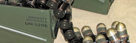 MSPO 2011