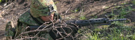 Is There a Problem with the Lethality of the 5.56 NATO Caliber?